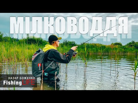 Видео: Рибалка На ЩУКУ В Спеку - Щука На Мілководді