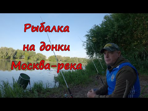 Видео: Донки КРОКОДИЛ. Рыбалка с ночевкой на Москва-реке.