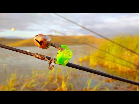 Видео: ТОЛЬКО ЗАБРОСИЛ СРАЗУ ПОКЛËВКА .РЫБАЛКА НА ДОНКИ В АВГУСТЕ.