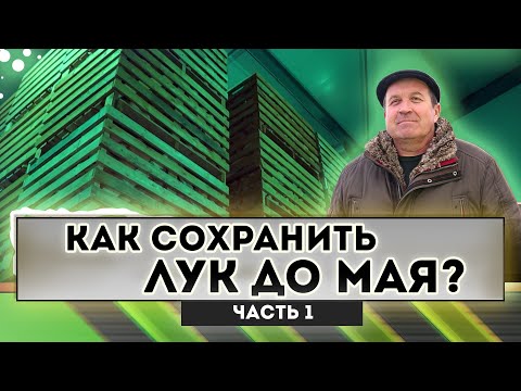 Видео: Как сохранить лук до мая?