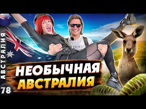 Видео: АВСТРАЛИЯ | УДИВЛЯЕТ, поражает и ВЛЮБЛЯЕТ | Диковинные ЖИВОТНЫЕ и снежные ВЕРШИНЫ!