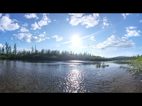 Видео: Рыбалка на Путорана. Нахлыст. Яркая финальная часть трилогии об одном маршруте.