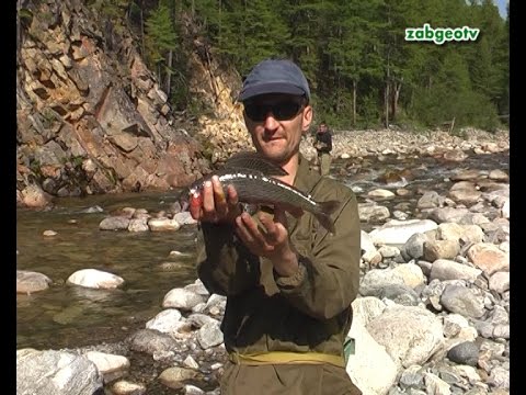 Видео: Ловля хариуса на блесну, черт знает где...