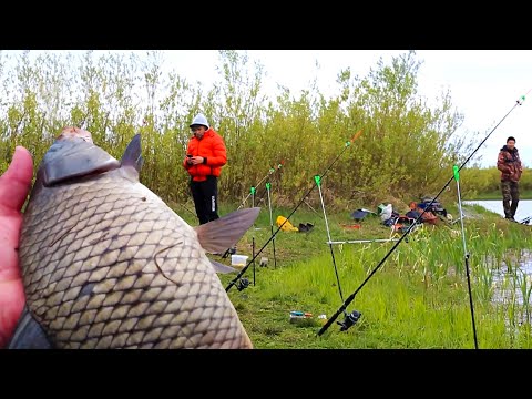 Видео: ПОТЯГАЛИ КАРПА на ДОНКИ! КРУГОМ УДОЧКИ, ЗАКИНУТЬ НЕКУДА! На что ЛОВИТСЯ КАРП в МАЕ?!