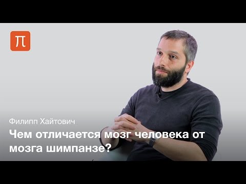 Видео: Молекулярная эволюция человеческого мозга - Филипп Хайтович