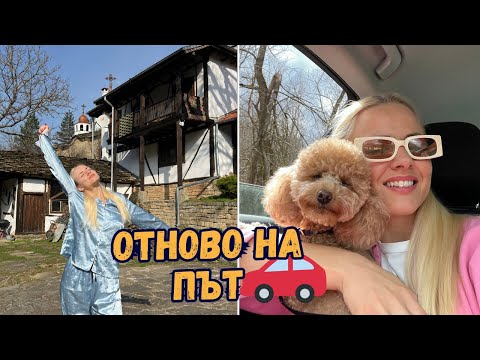 Видео: СПАХМЕ В МУЗЕЙ 🙈 | Hell's Kitchen на живо 🧑🏻‍🍳