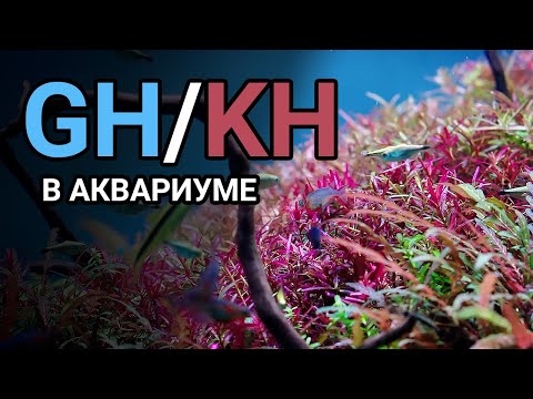 Видео: Жесткость воды в аквариуме GH и KH. Как понизить и повысить общую и карбонатную жесткость.