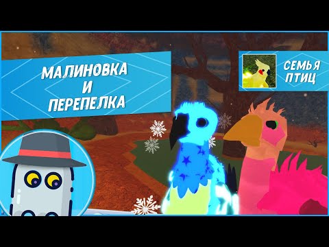 Видео: 🐤Малиновка и Перепелка в Семье Птиц Роблокс Обновление 2023 Robin Quail Roblox Feather Family🐤