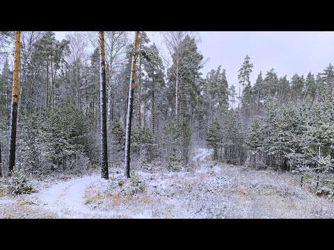 Видео: Рейс №14 Казань - Москва. Сломались дворники. Прошёл инспекционный осмотр, сдал запчасти после ТО.