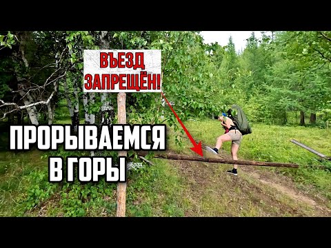 Видео: Автостопим | Идём по следам зверя | Грандиозные планы #1