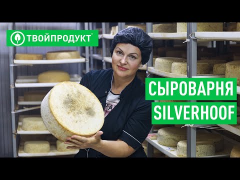 Видео: Частная сыроварня с нуля. История Натальи Соболевой