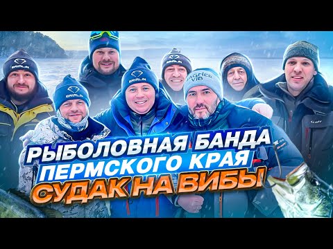 Видео: РЫБАЛКА НА СУДАКА В ПЕРМСКОМ КРАЕ. Тест новых вибов + розыгрыш!