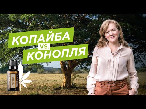 Видео: ЭФИРНОЕ МАСЛО КОПАЙБЫ | Помощь при боли и поддержка иммунитета