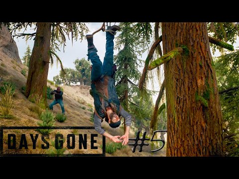 Видео: DAYS GONE ▶ ЖИЗНЬ ПОСЛЕ # 5