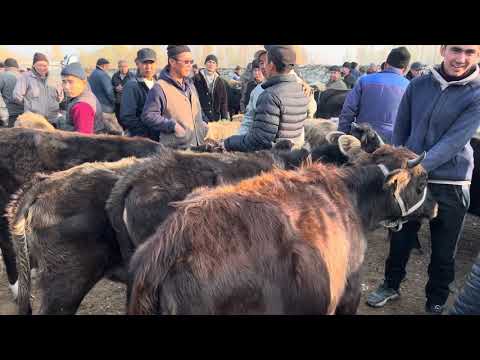 Видео: Айырбаз МАЛ БАЗАРЫ 18-Ноябрь КЫЗЫГАН ЖЭРЛЕРИ