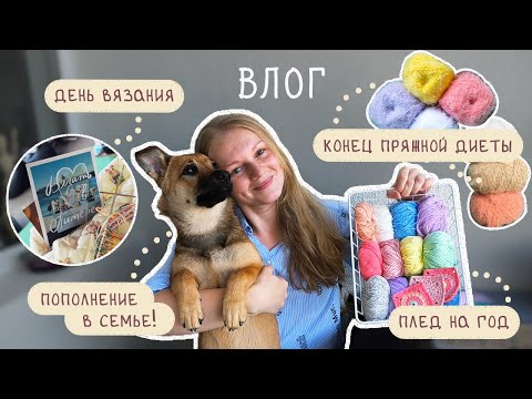 Видео: ВЛОГ 🐶 День вязания • Конец пряжной диеты • Будет плед • Пополнение в семье