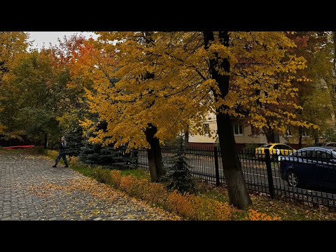 Видео: Переживаю. Еду в суд. Неадекватные представители 😁Москва/Лобня. Долгий трудный день. 