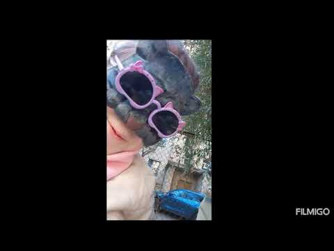 Видео: Интервью с леди кошкой 😱