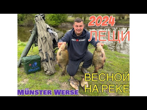 Видео: РЫБАЛКА ВЕСНОЙ НА РЕКЕ В ГЕРМАНИИ - КРУПНЫЕ ЛЕЩИ / ANGELN AM WERSE IN MÜNSTER
