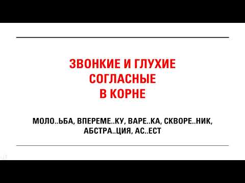Видео: ЗВОНКИЕ И ГЛУХИЕ СОГЛАСНЫЕ В КОРНЕ