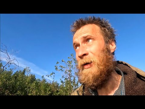 Видео: Окуни и комары озверели, рыбалка с ночёвкой ЧАСТЬ 1