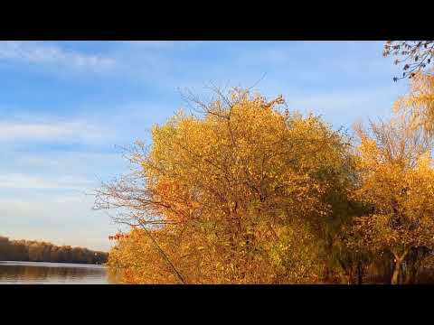 Видео: Полное бесклевье на реке.