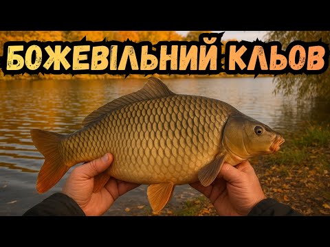 Видео: 🔥Осінній КОРОПОВИЙ ЖОР! КАРП один за одним на флет метод 🎣🔥