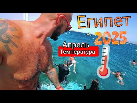 Видео: Египет🇪🇬ВЗЛЕТЕЛИ ЦЕНЫ КАКИЕ ИЗМЕНЕНИЯ Xperience Sea Breeze 5* Номер Подводный мир и обед
