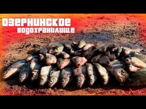 Видео: Озернинское водохранилище, Рыбалка на фидер  Как поймать рыбу когда не клюет ))