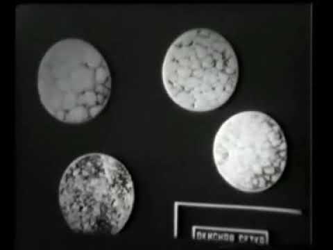 Видео: Теория термической обработки стали