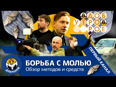 Видео: Пищевая и платяная моль. Борьба и профилактика