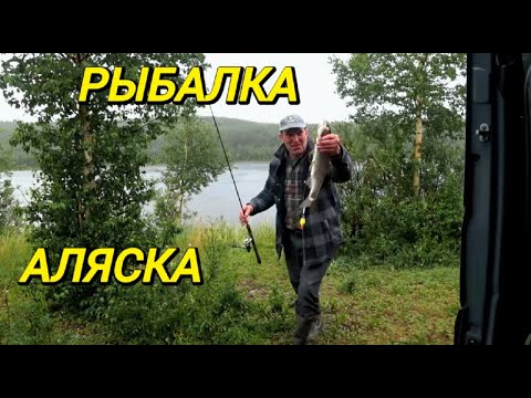 Видео: Рыбалка на горных озерах Аляски.  Разведка нового озера в горах.