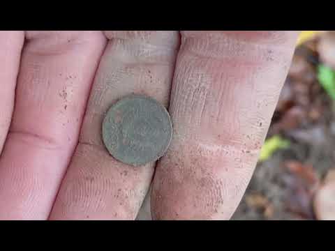 Видео: 1 ноября 2025 г.