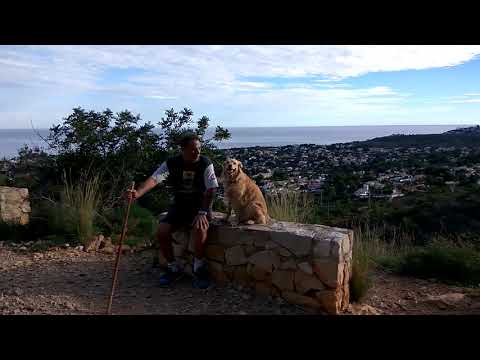 Видео: Испания Дения Ветлицкая,мой выходной