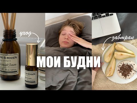Видео: обычная жизнь: работа блогера, макияж на каждый день, лечение кожи