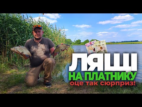 Видео: РИБАЛКА на ЛЯЩА на ПЛАТНИКУ. ФІДЕР проти КОРМАКІВ - хто переможе?