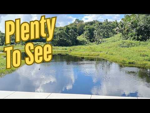 Видео: Что посмотреть в Файзабаде