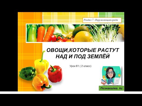 Видео: Овощи, которые растут над и под землёй