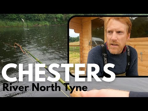 Видео: В поисках Прыгуна