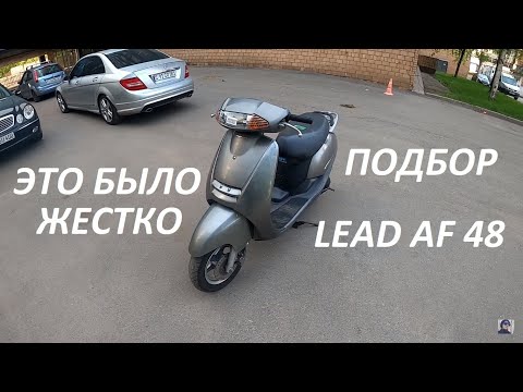 Видео: Выбираем Lead 48. Реально найти живой?