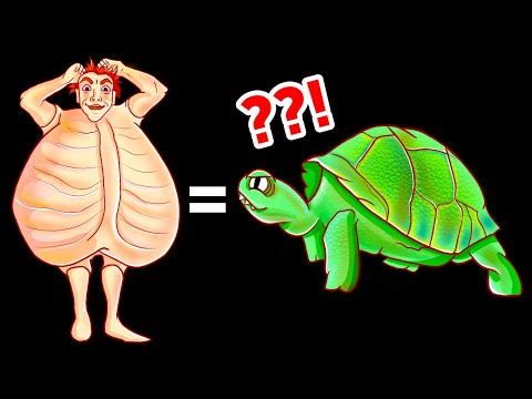 Видео: Факты о животных, которые слишком невероятны, чтобы быть правдой (но они правдивы!)