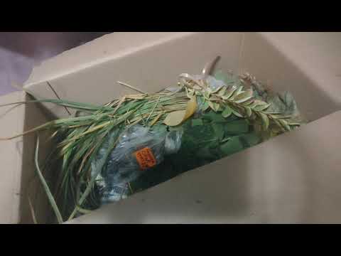 Видео: Дві посилки! Розпаковка! 🥰🌸🌼🌸 09.10.2025