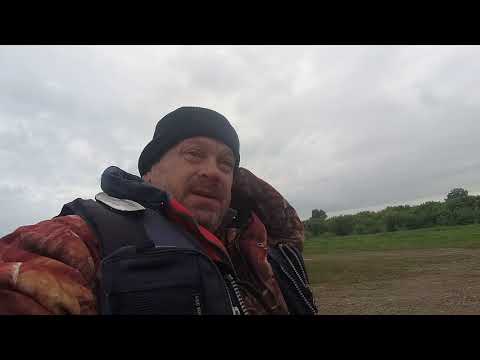 Видео: отличный улов на перемёт рыбалка с Артёмом