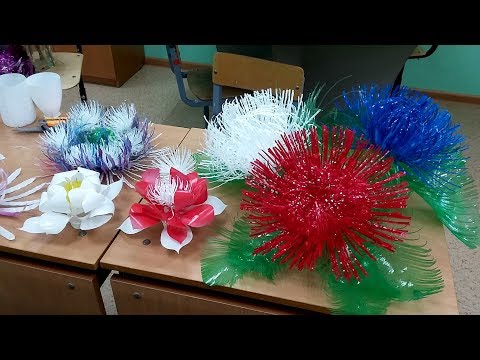Видео: Цветы из пластиковых бутылок! Очень просто и очень красиво!