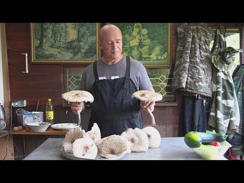 Видео: КАК ПРИГОТОВИТЬ ГРИБЫ ЗОНТИКИ ВКУСНО БЕЗ ЗАПАР
