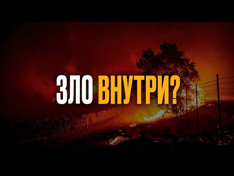 Видео: Почему люди ведут себя ПЛОХО: 4 причины