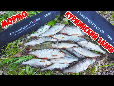 Видео: Мормышинг с лодки. Курминский залив. Иркутское водохранилище.