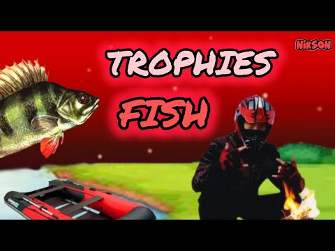 Видео: 🔴НАКОНЕЦ-ТО **Первые крупные РЫБЫ**❗