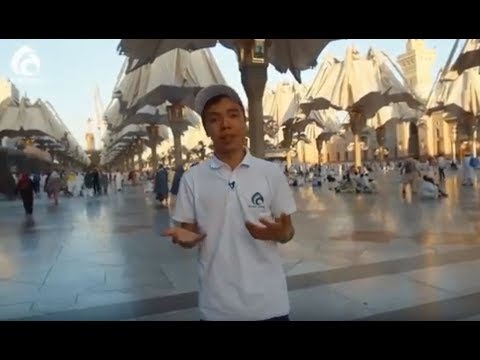 Видео: Пайғамбар ﷺ мешіті, Ұхуд тауы, Құба мешіті, Құрма бағы \ Syrym story \  Асыл арна