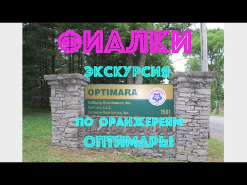 Видео: ФИАЛКИ. Экскурсия по оранжереям Оптимары.